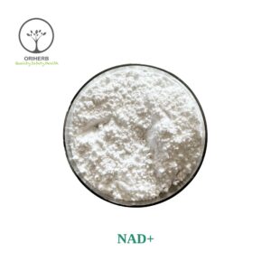 NAD+ Bulk Powder