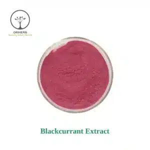 Blackcurrant Extract