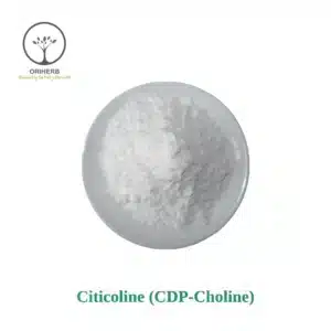 Citicoline (CDP-Choline) Powder