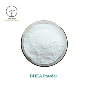 DHEA Powder