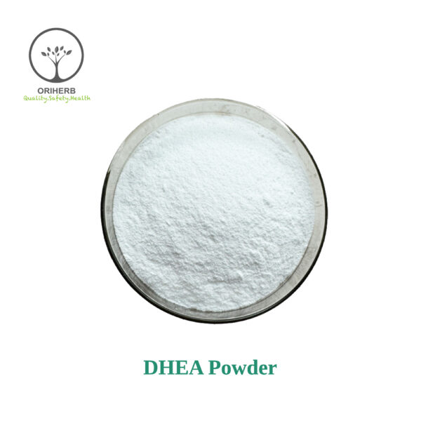 DHEA Powder