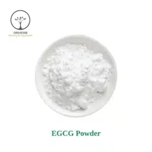 EGCG Powder