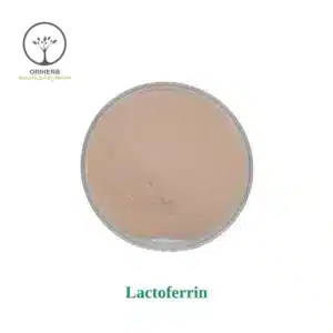 Lactoferrin Powder