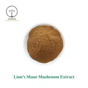 Lion's Mane Mushroom Extract