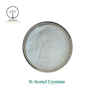 N-Acetyl Cysteine Powder