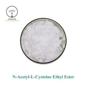 N-Acetyl-L-Cysteine Ethyl Ester (NACET)