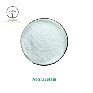 Nefiracetam Powder