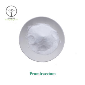 Pramiracetam Powder