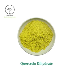 Quercetin Dihydrate