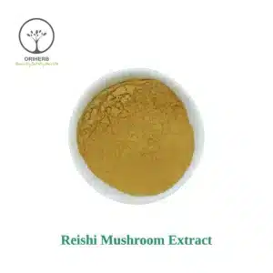 Reishi Mushroom Extract Powder