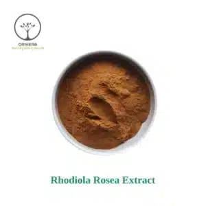 Rhodiola Rosea Extract Powder