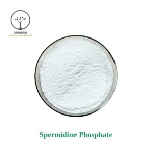 Spermidine Phosphate