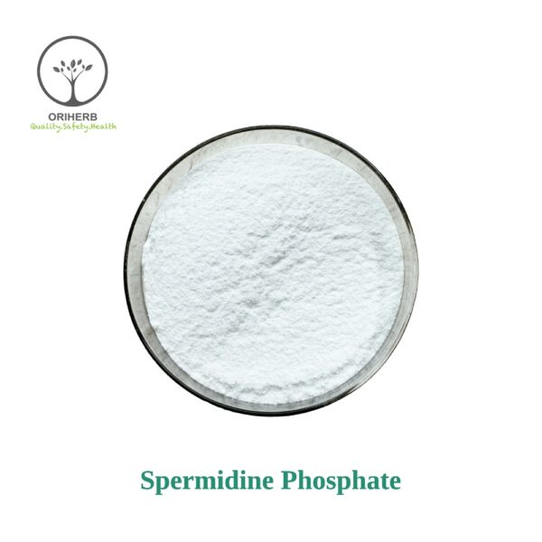 Spermidine Phosphate