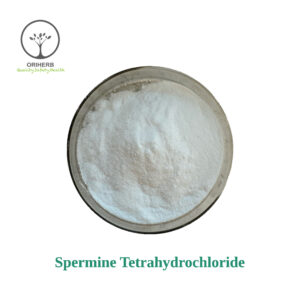 Spermine Tetrahydrochloride