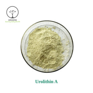 Urolithin A Powder