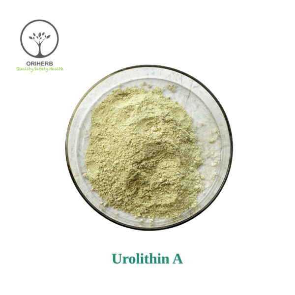 Urolithin A Powder
