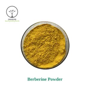 Berberine powder bulk